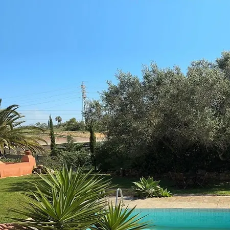 Farm A Do Alho, Herdade Do Funchal 别墅